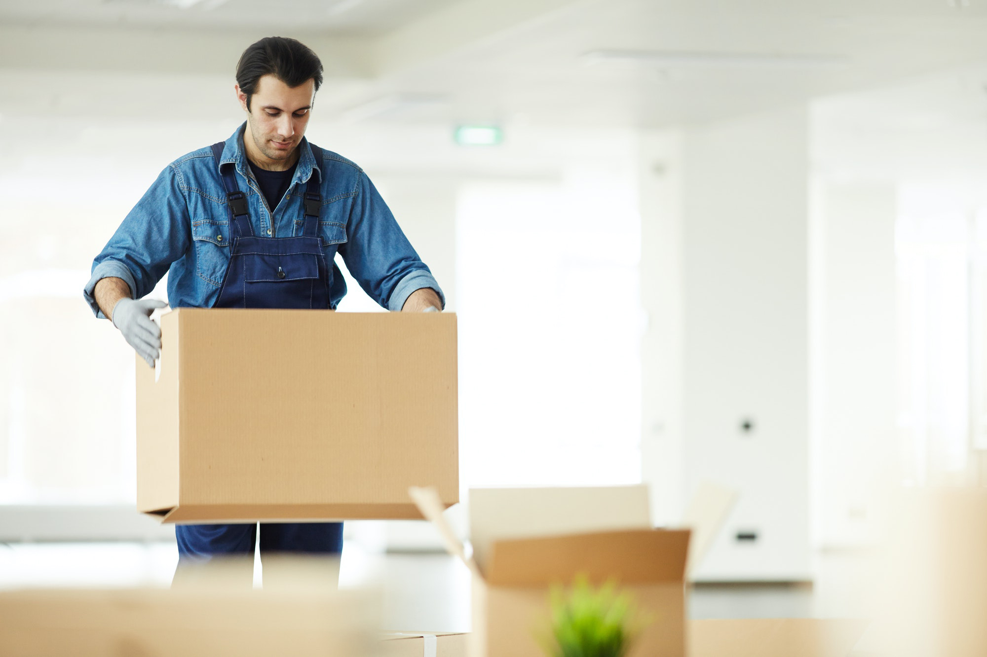 Shine Movers professional mover carrying a moving box